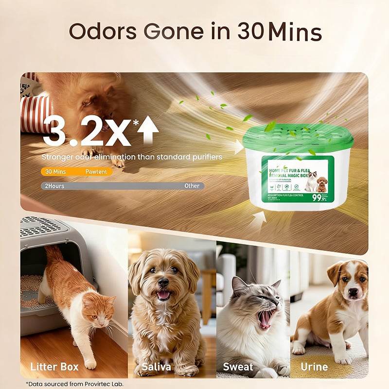 Home Pet Fur and Odor Removal Box