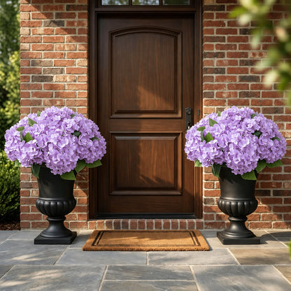 🔥Hydrangea Seeds for Planting Outdoor – Colorful Flower Seeds for Garden, Patio, Yard & Landscaping