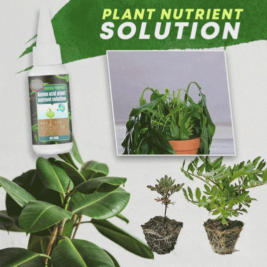 🔥Plant Nutrient Solution