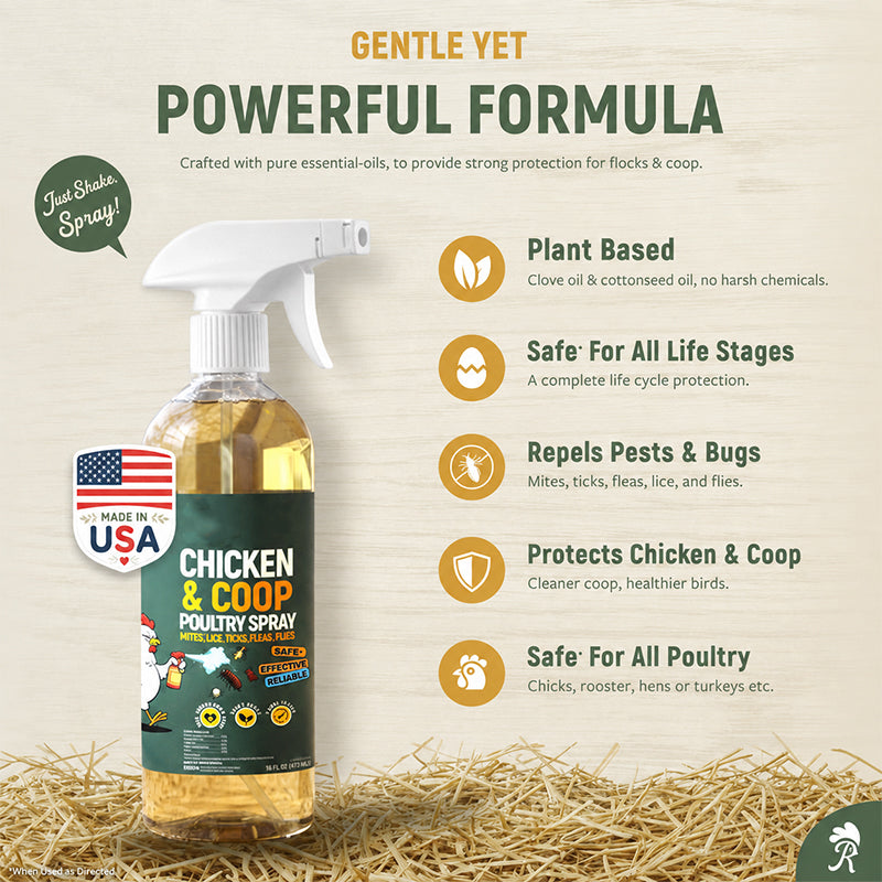 ⚡🐔 Natural spray for the chicken coop