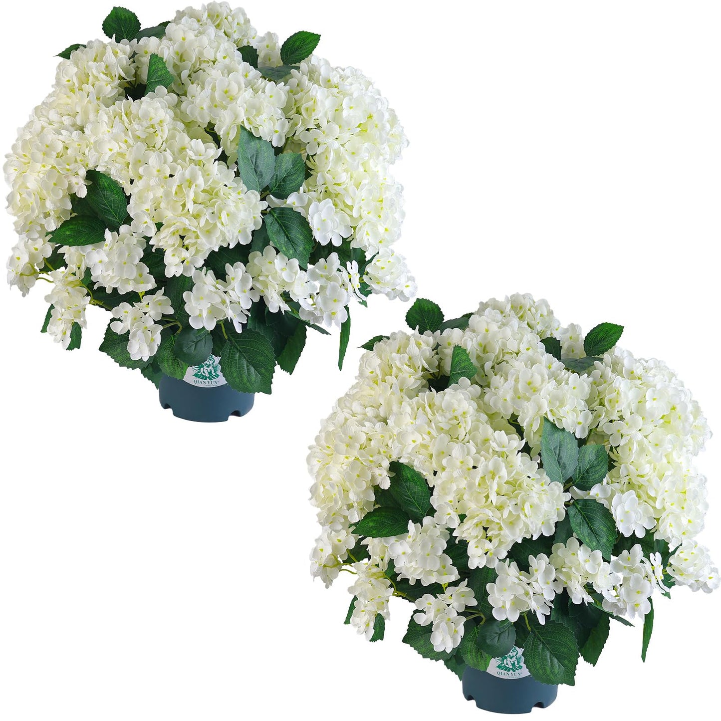 🔥Hydrangea Seeds for Planting Outdoor – Colorful Flower Seeds for Garden, Patio, Yard & Landscaping